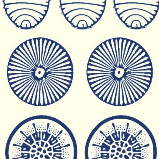 Textuurpapier Diatom Shapes